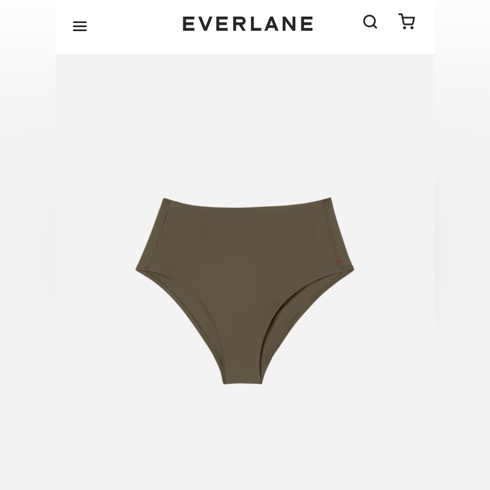NWT Everlane High Rise Hipster in Beech